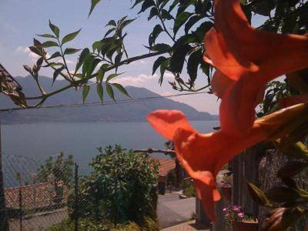 Home Sweet Home Lakeview Oggebio 외부 사진